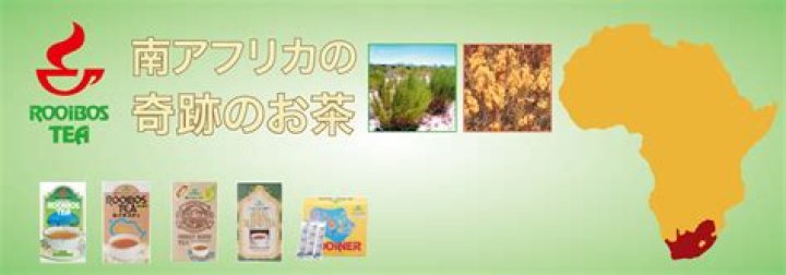 ルイボスティーの驚くべき効能と正しい飲み方完全ガイド